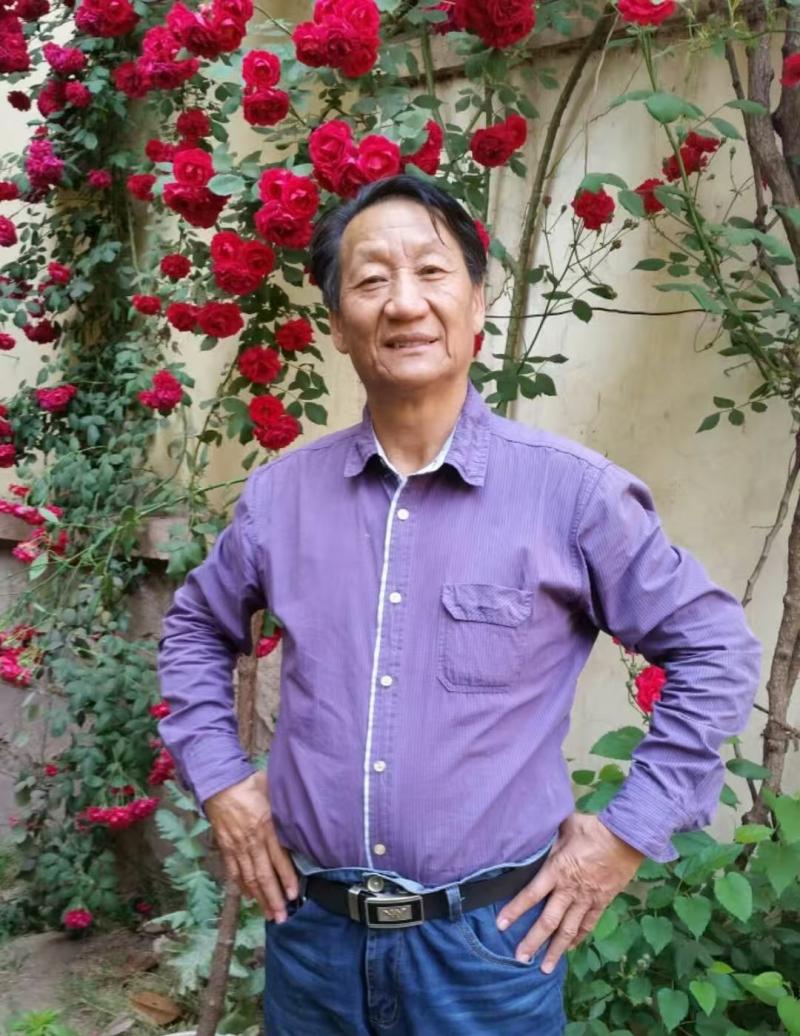王维